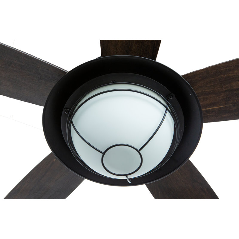Braylin 52 inch Indoor/Outdoor Matte Black Ceiling Fan with LED Light Kit and Remote Control
