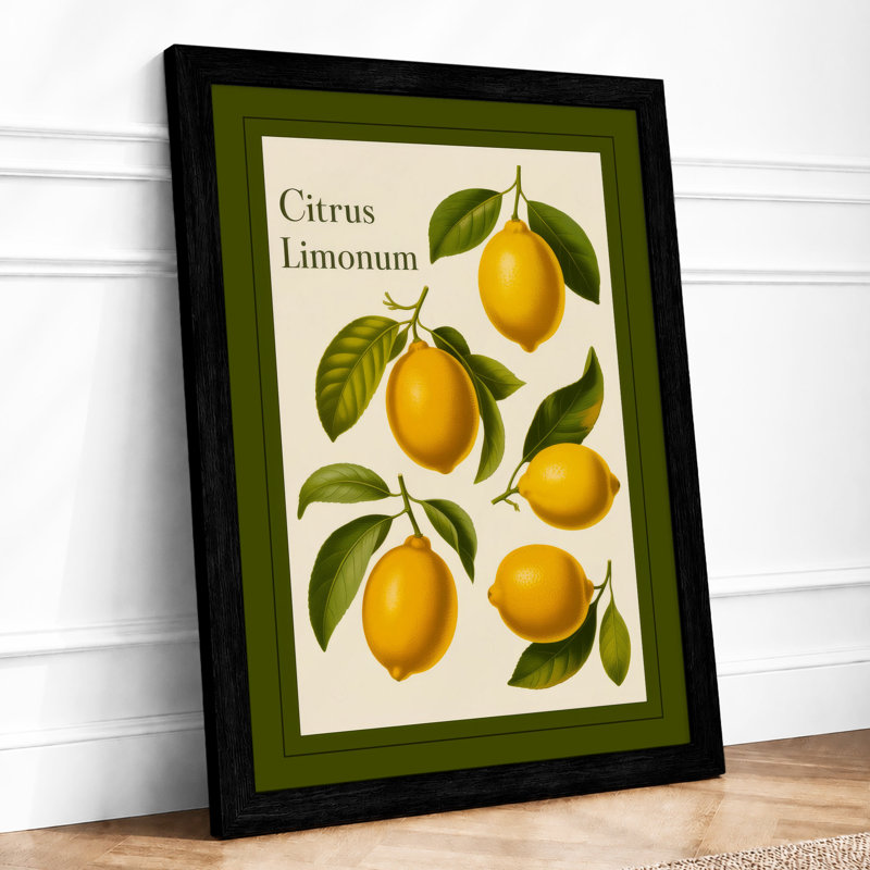 Citrus Limonum Botanical - Framed Print, A2 - 59.4 x 42.0 cm, Black