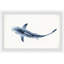 «Citlali Striped Shark», reproduction encadrée-1534981606