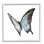«Ulysses Butterfly Children Nursery Insect» par Fox Hollow Studios - Peinture