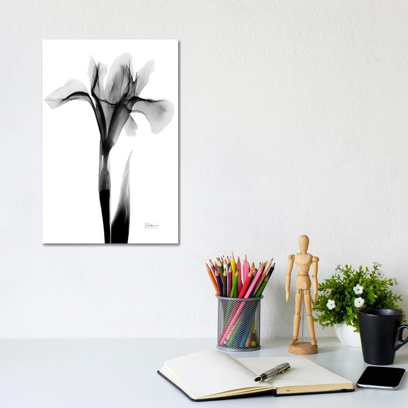 Expressed Iris I by Albert Koetsier - Wrapped Canvas Print, 20.32 cm H x 30.48 cm W