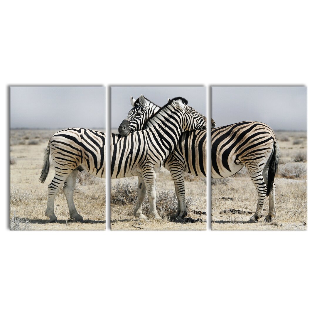 3-tlg. Leinwandbilder-Set Cuddling Zebras