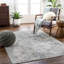 Oriental Area Rug-1518967536