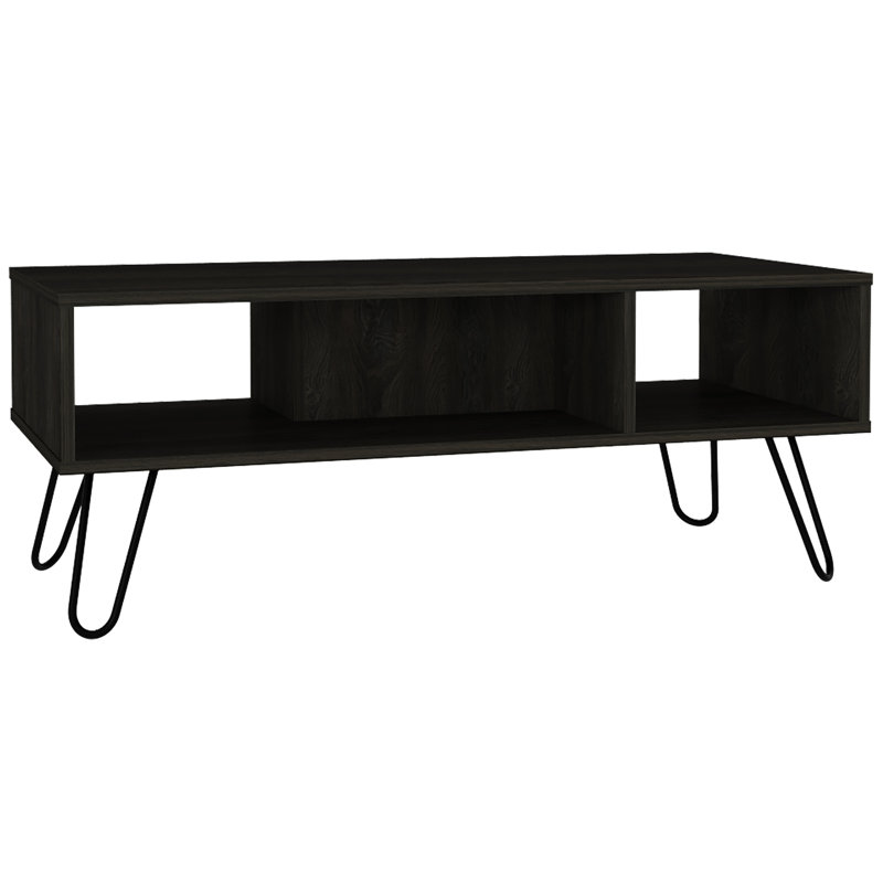 Table basse noire et 2 pour l'espace de vie avec espace de rangement supplémentaire.