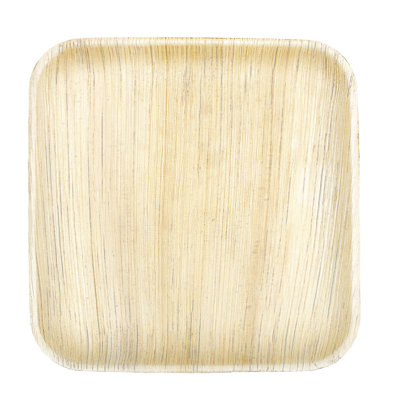 Assiettes jetables de 10 po - Compostables