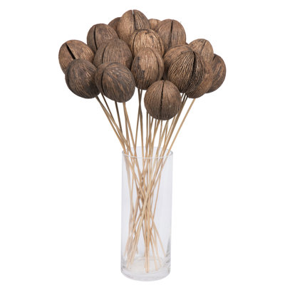 20'' Plant