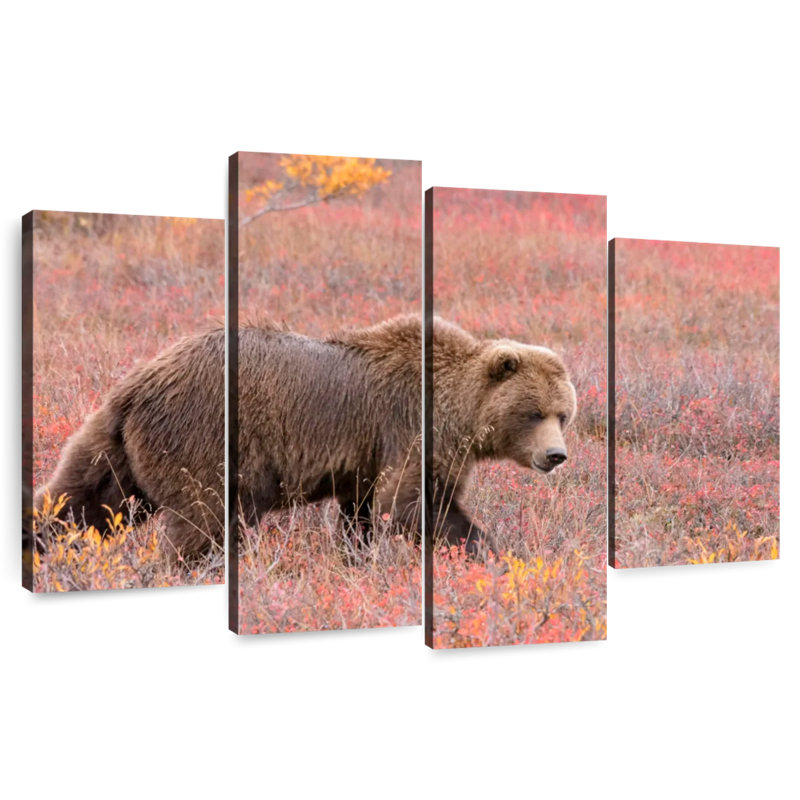 Brampt Alaskan Meadow Grizzly Bear, 32" H x 52" W