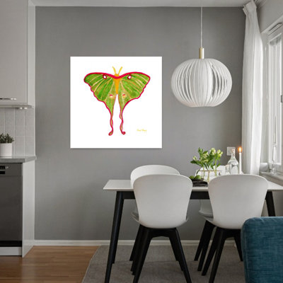 Art contemporain Contemporary Moth