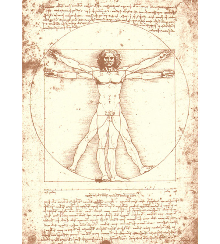 The Vitruvian Man, 18" H x 13" W