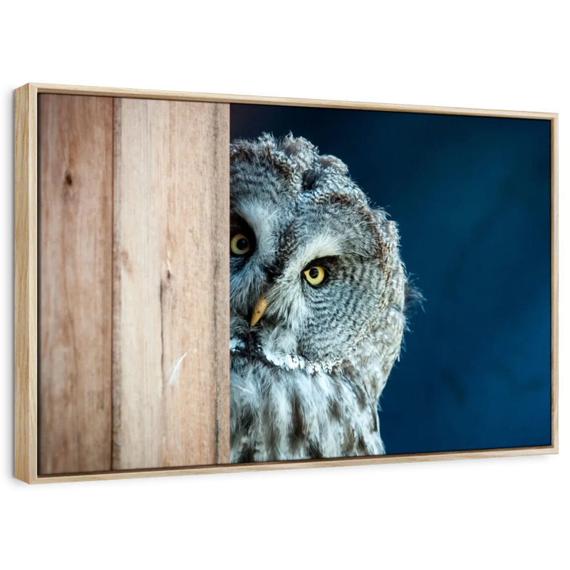 Peeking Owl, 13" H x 19" W