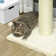 210.82cm H Cat Tree
