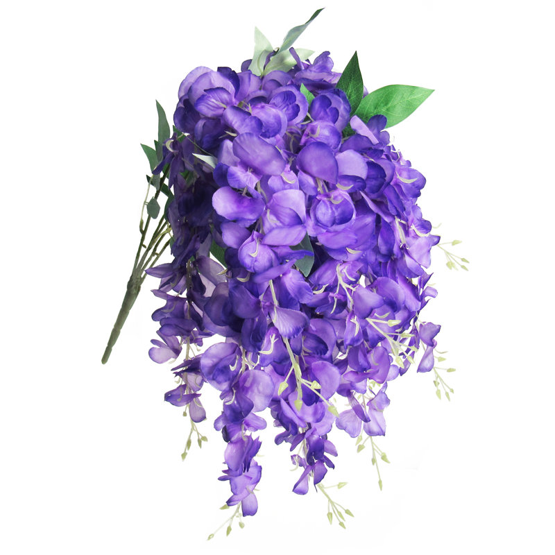 Tige de glycine suspendue, Mauve