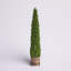 Topiaire de buis Armatha Spring en pot-1161632051