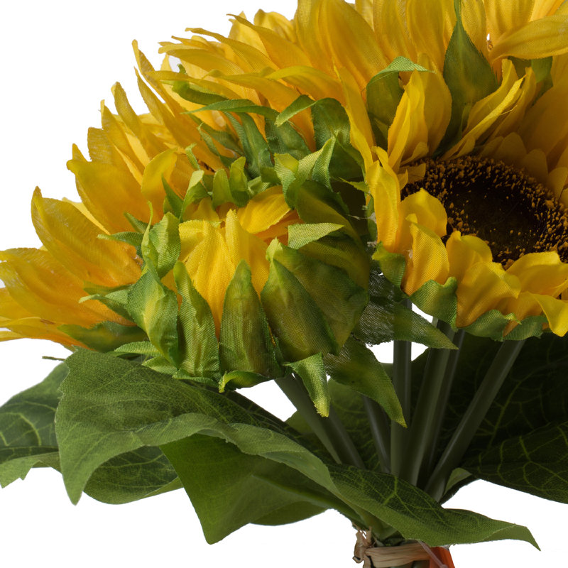 Centres de tournesol en paquet