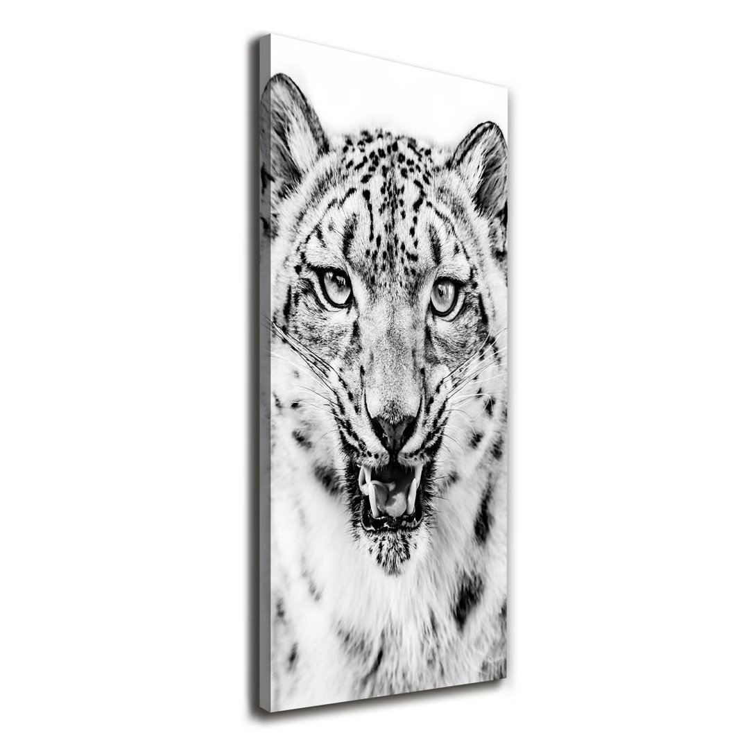 Snow Panther - Kunstdrucke auf Leinwand - Wrapped Canvas