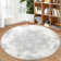 Sharmine Washable Floral Indoor Rug
