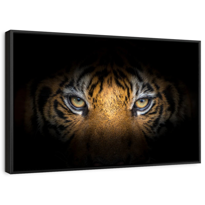 Animal «Fierce Eyes Tiger», reproduction sur toile, H 9 po x l 13 po