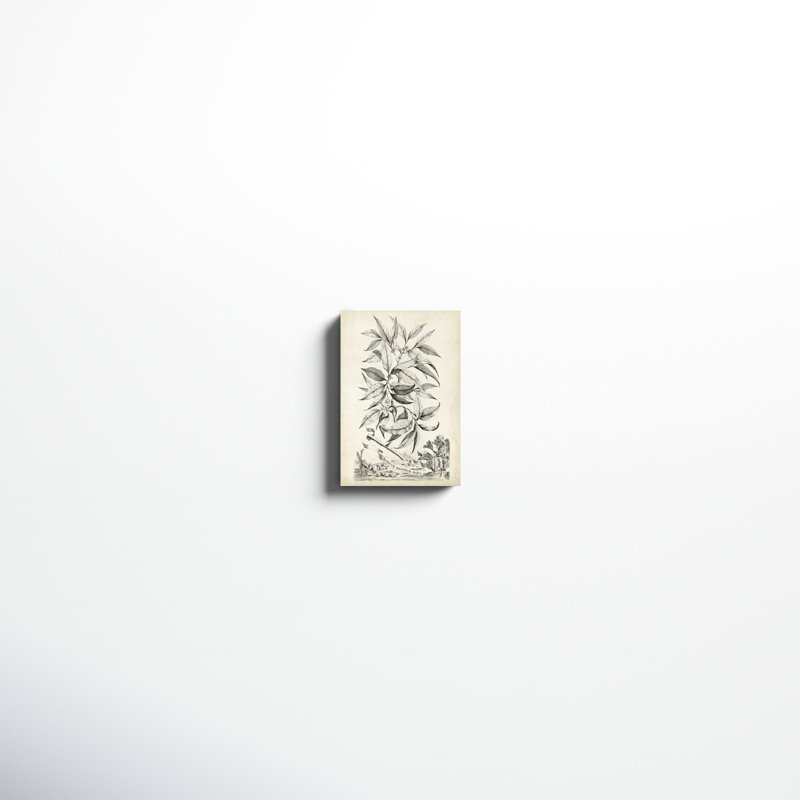 «Scenic Botanical IV», impression sur toile, H 12 po x l 8 po