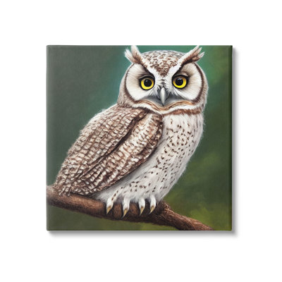 " Yellow Eyed Owl Gaze " Painting Print