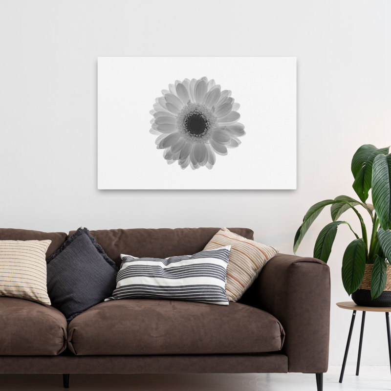 Plantes, fleurs, marguerite, art mural, H 32 po x l 48 po