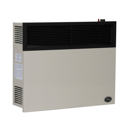 25,000 BTU Direct Vent Convection Wall Mounted Heater