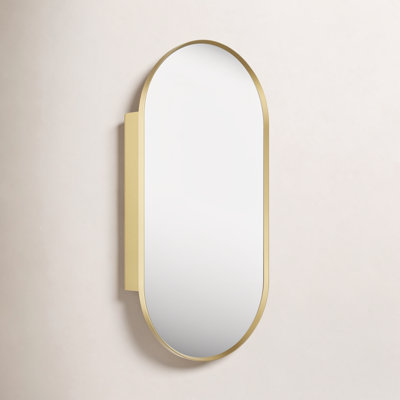 Verdera Capsule Framed Medicine Cabinet