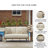 Alesana Outdoor Loveseat With Cushion