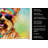 Yorkshire Terrier Hippie Dawg Kitchen Towel