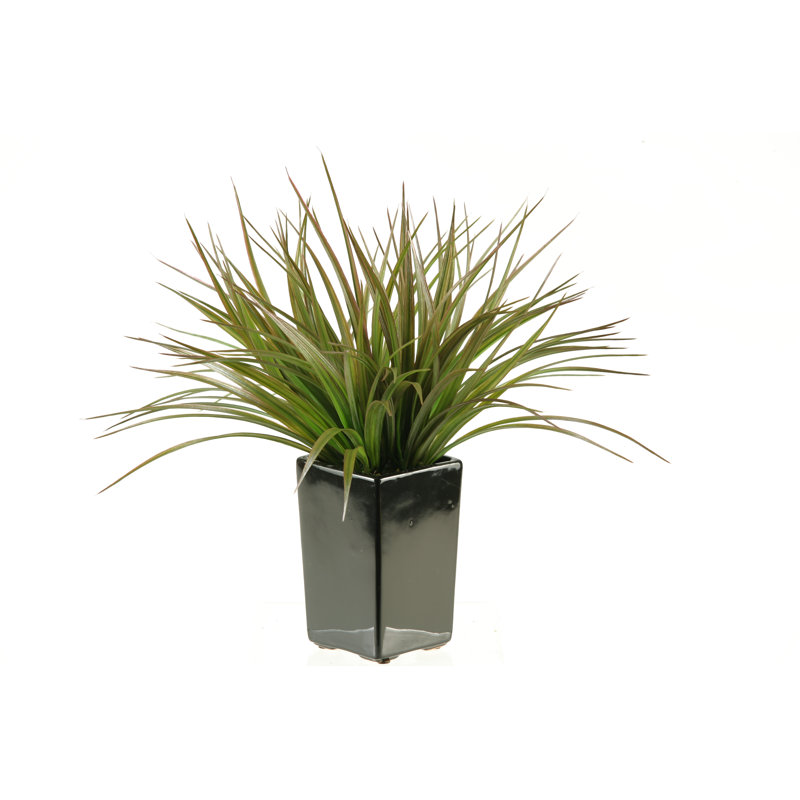 Faux Grass in Ceramic Planter
