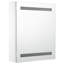 Amata Surface Mount Mirror Cabinet with Lighting