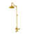 Unlacquered Polished Brass