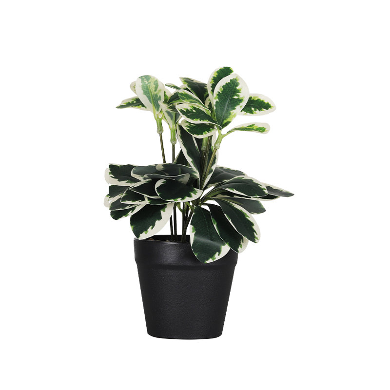 Plante artificielle en pot, Vert/blanc