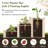 Arlmont & Co. 3-Tier Wooden Raised Garden Bed With Open-Ended Base Growing Planter For Backyard