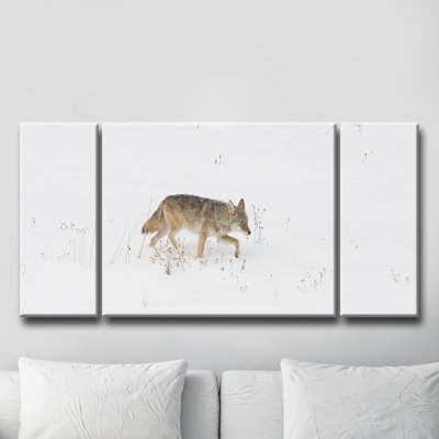 " Coyote Snow " by Bartlett Hayes 3 - Pieces