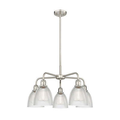 Densel 5 - Light Steel Dimmable Dome Chandelier