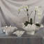 Meteor Bowl-Ivory-38426348