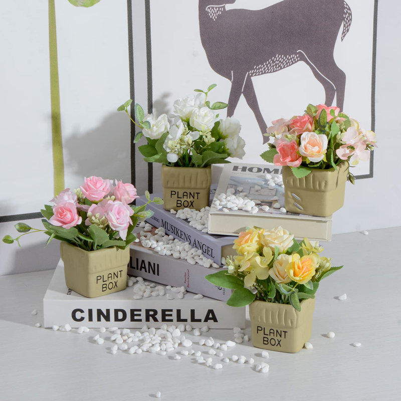Arrangement floral Canales Roses en pot