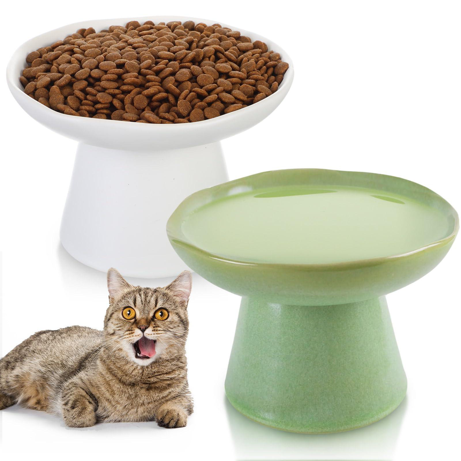 Whisker Fatigue Best Pet Bowls Ceramic Shallow Cat Dish Inch