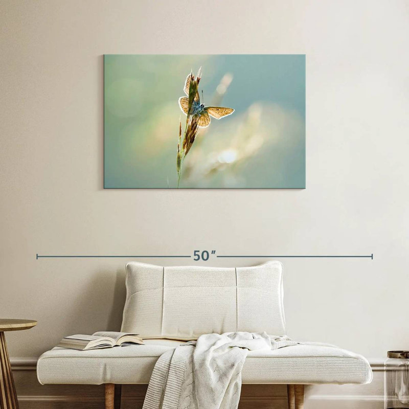 Brampt Icarus Butterfly, 24" H x 36" W
