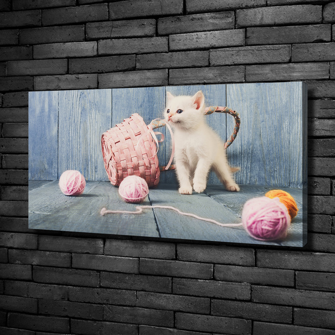 Leinwanddruck - Wandkunst - Drucke auf Leinwand - 100X50 Bildmotiv: Weiße Katze und Hanks