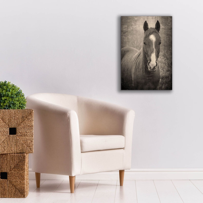  «Heres Looking You II» par Debra Van Swearingen, art mural sur toile, 18 po x 26 po, H 26 po x l 18 po