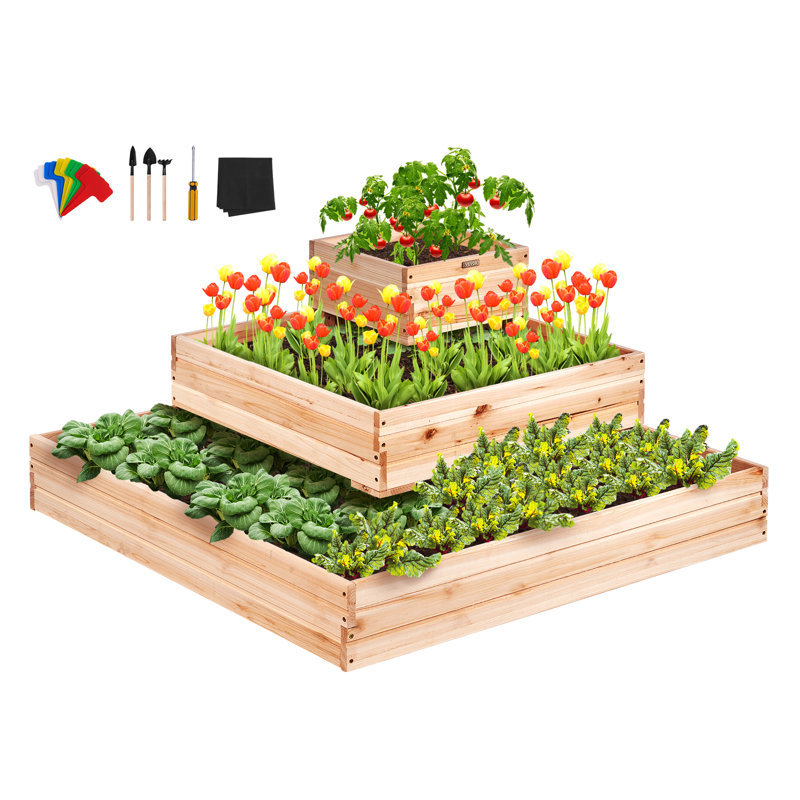 Carlous Wood Raised Garden Bed