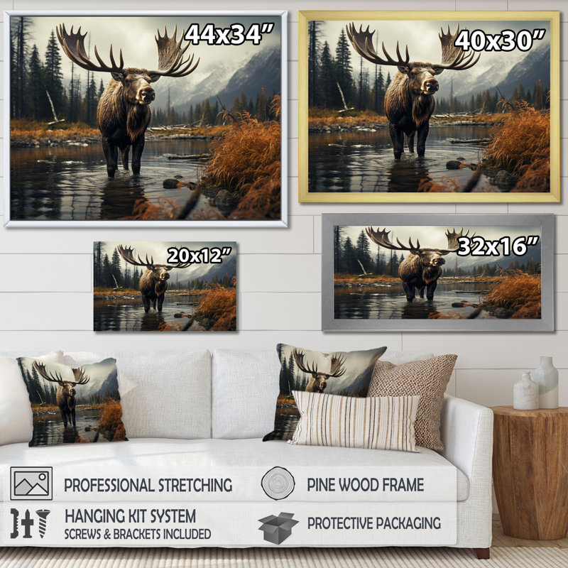 «Canada Majestic Moose I», reproduction sur toile, H 34 po x l 44 po x P 1,5 po, Cadre photo blanc