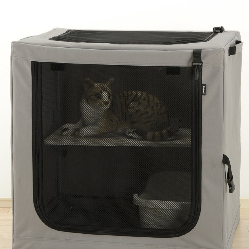 Habitation pour chat portable pliante