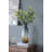 Dorthay Handmade Glass Table Vase