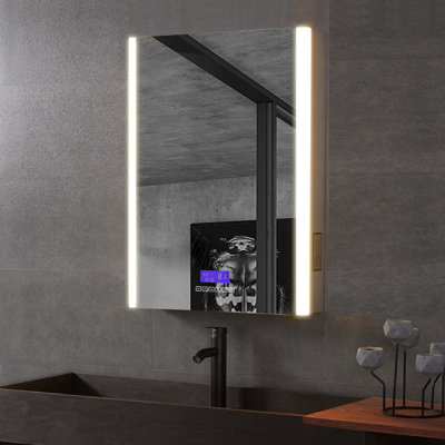 24'' W 32'' H Surface Frameless Medicine Cabinet Mirror 2 Adjustable