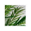 Palmera Faux Plant