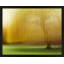 Spring Lingerie by Laura Zimmerman - Framed Wall Art-1670266236-1670266237