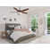 52" Mojo 5 - Blade LED Standard Ceiling Fan with Pull Chain and Light Kit Included