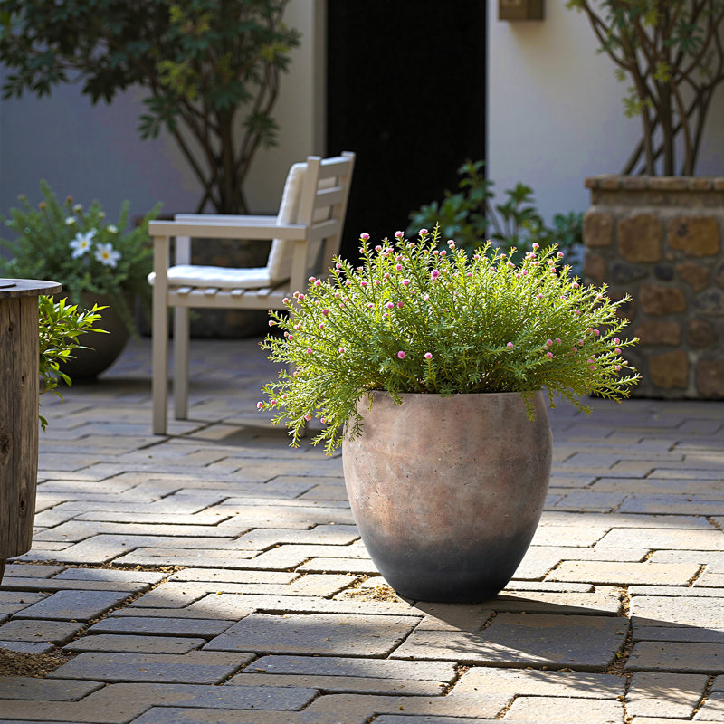 Pot de fleurs rond 14,2 po Dia